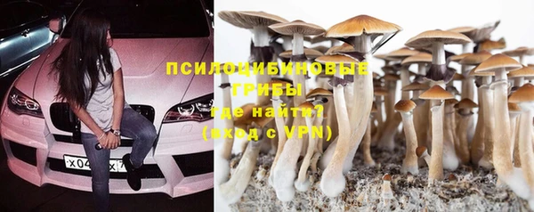 ALPHA PVP Беломорск